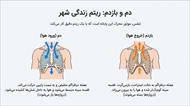 درسنامه فصل 15 علوم هفتم (تبادل با محیط)