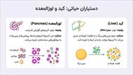 درسنامه فصل 13 علوم هفتم (سفر غذا)